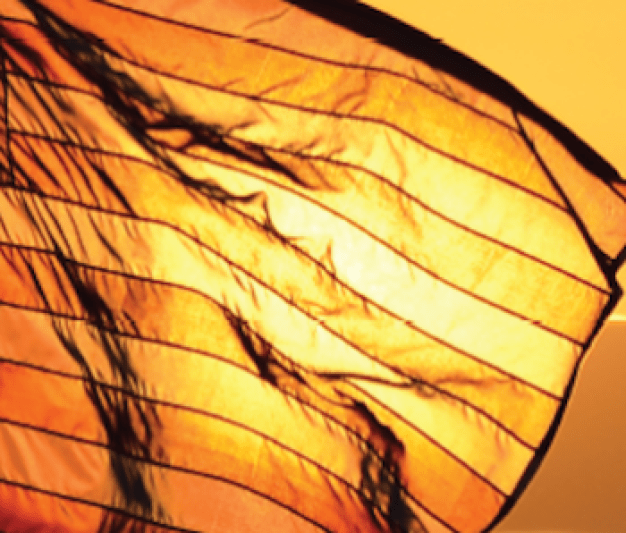 Flag-in-the-sun