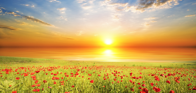 Sunrise