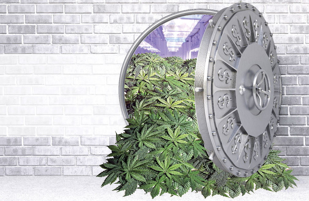 Weed-Feature-resize