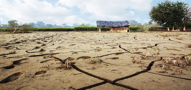 drydesert