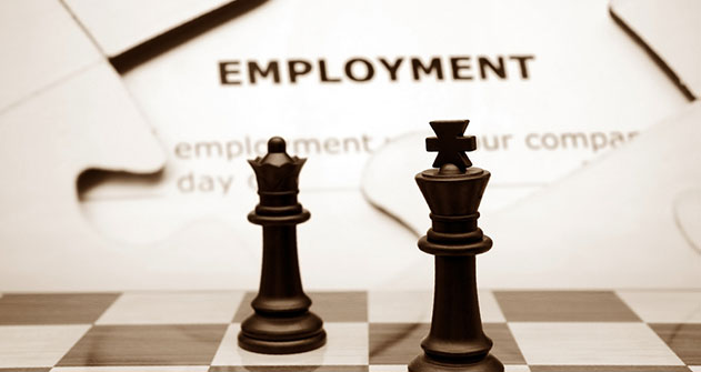 employment