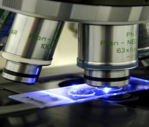 magnifying-science