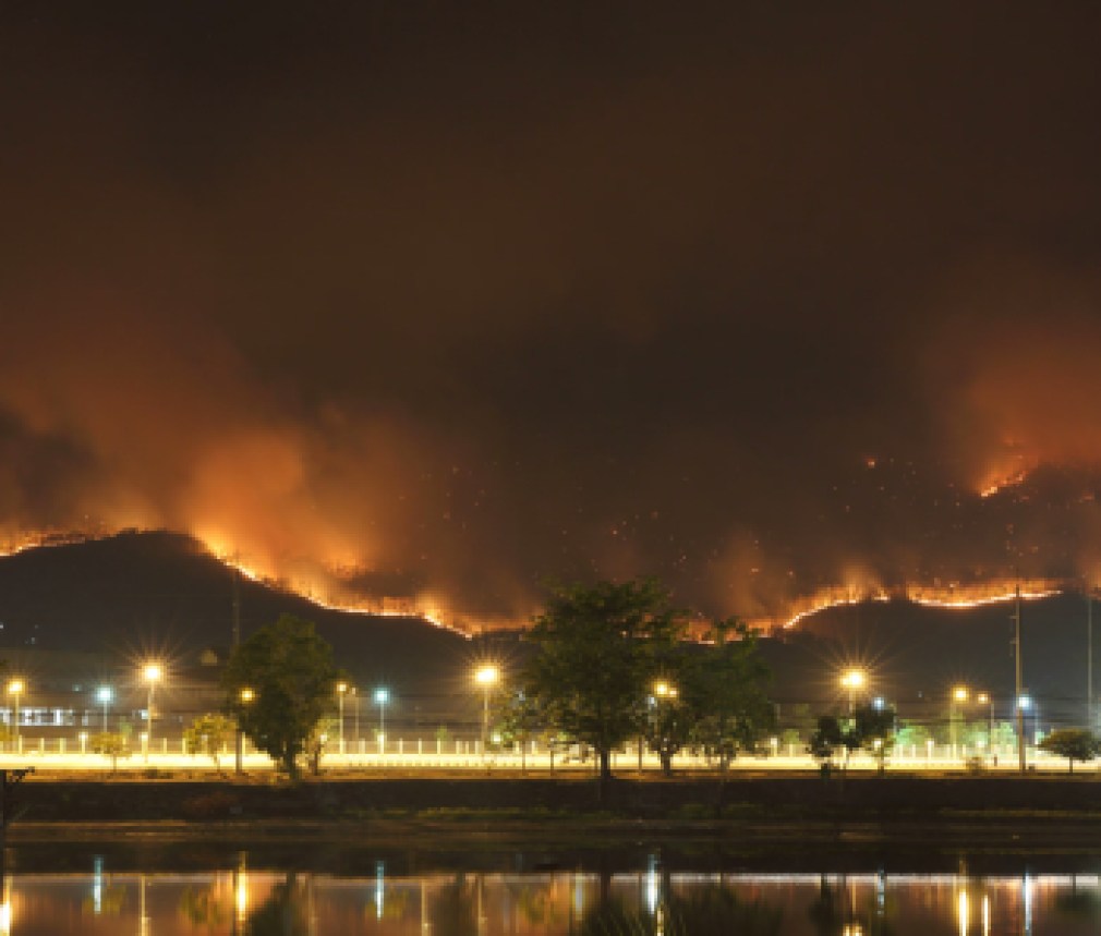 wildfire