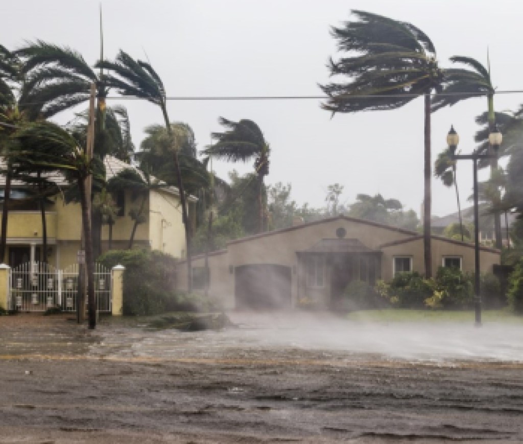 Climate, Disaster, Hurricane 3