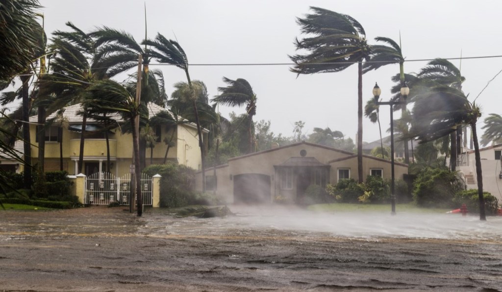 Climate, Disaster, Hurricane 3