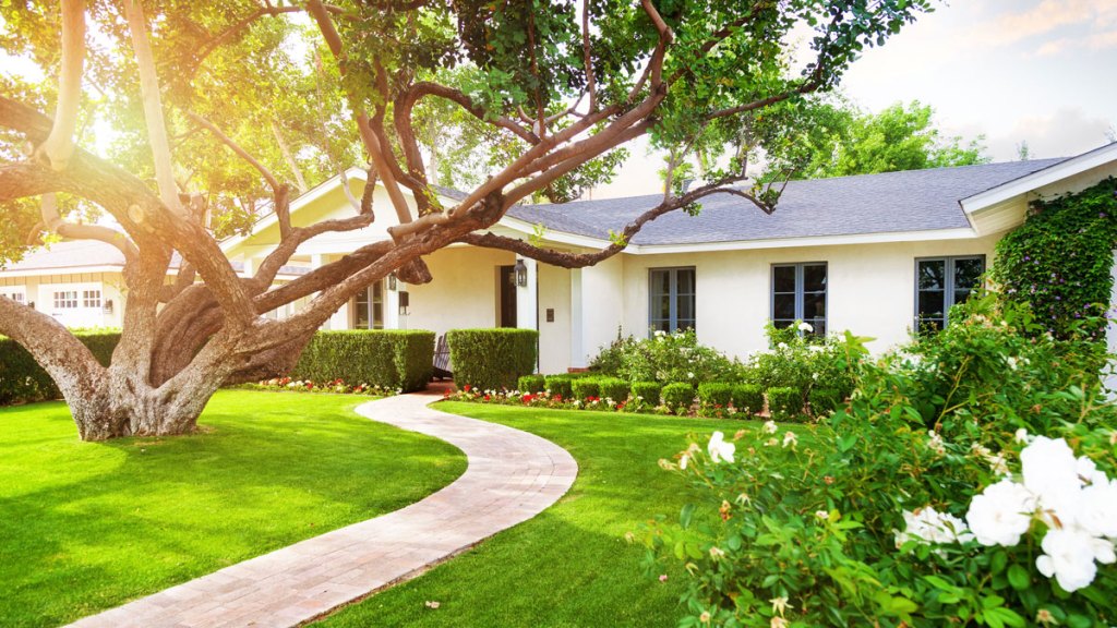 HousingWire-Home-with-Tree