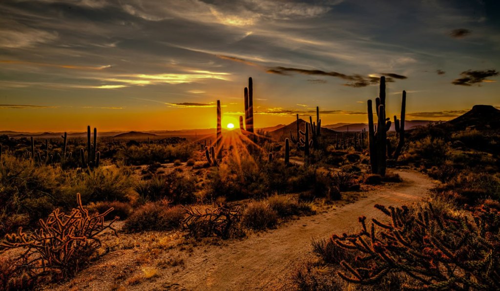 scottsdaledesert_unsplash