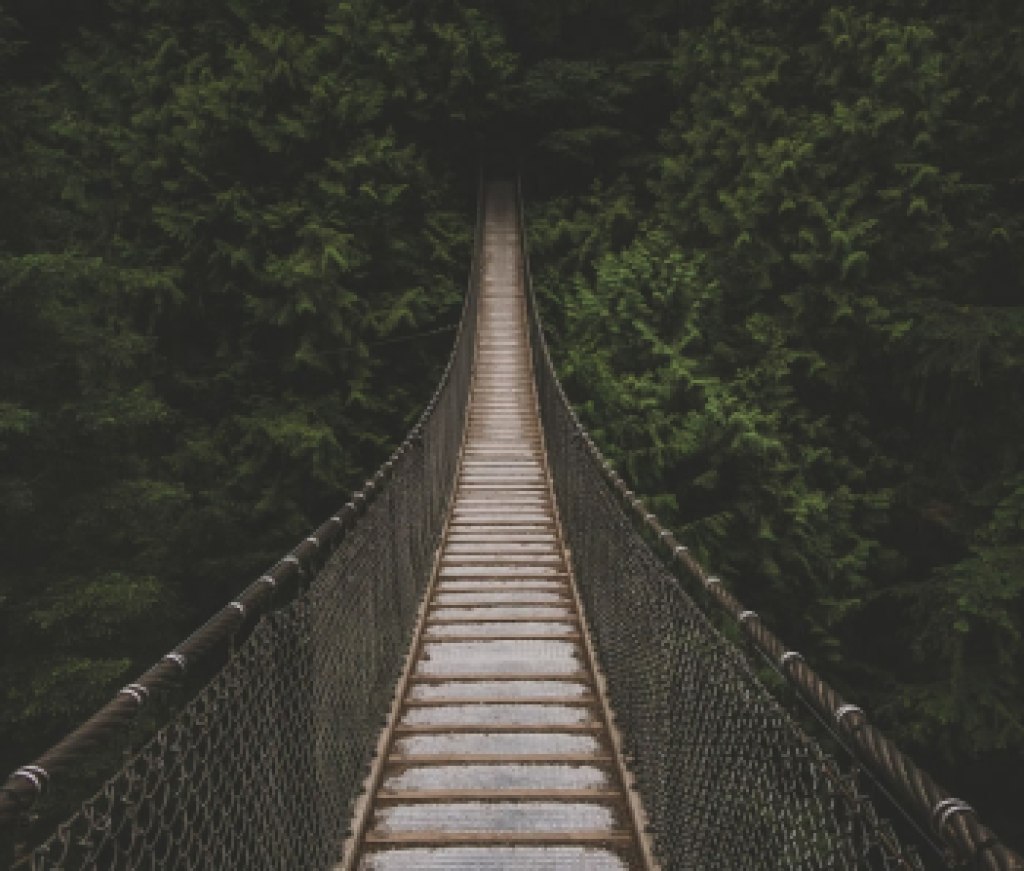 bridge_unsplash