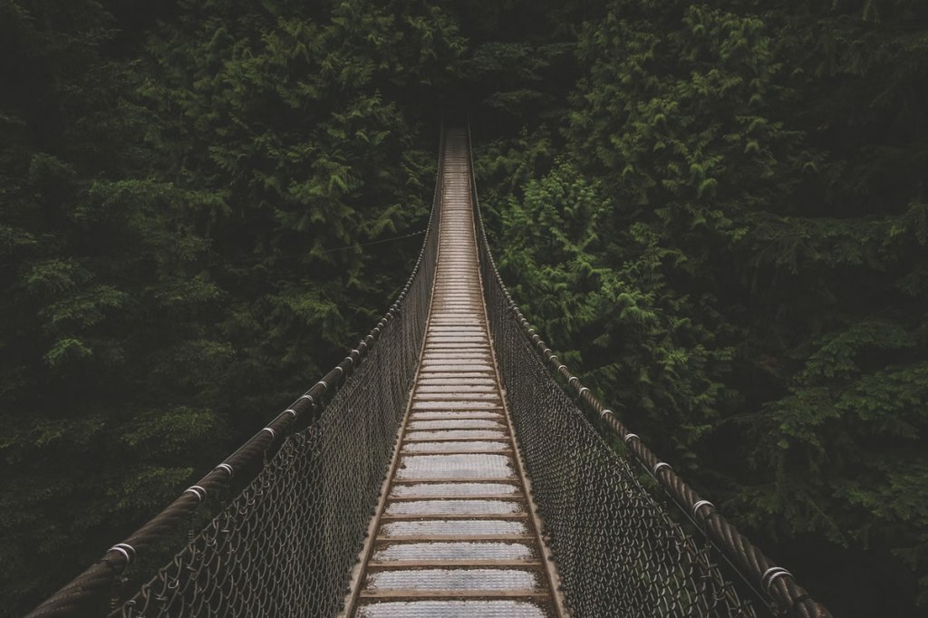 bridge_unsplash