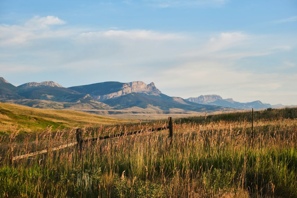 montana_unsplash