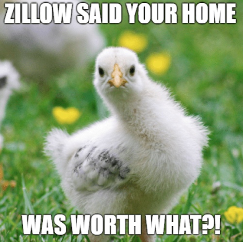 Meme of Zillow said your home was worth what? with a white and gray baby chic with a angry look on its face.