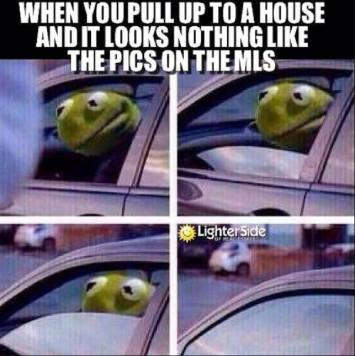 Meme of pulling up to a home that looks nothing like the pictures on mls with kermit the frog in a car with the window down.