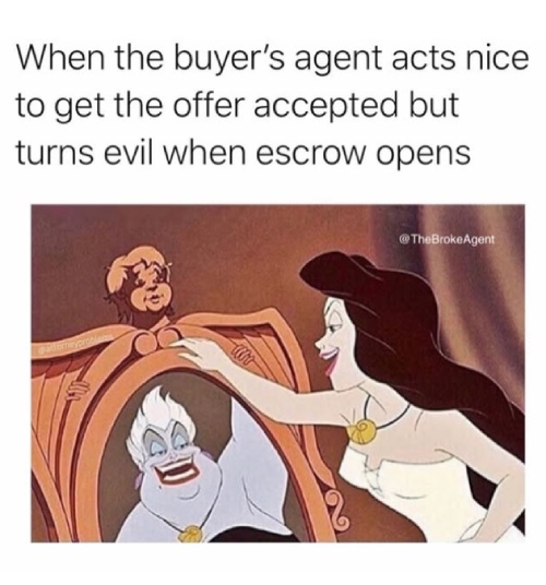 Meme of Ursula from little mermaid as the sea witch in the mirror and a human outside the mirror.