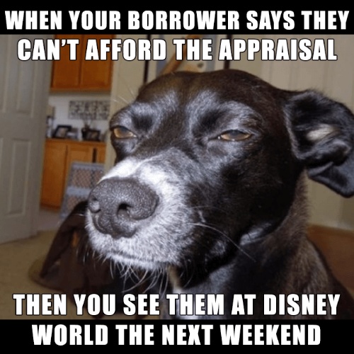 Meme of dog squinting when the borrower says they can't afford the appraisal but were at Disney last weekend.