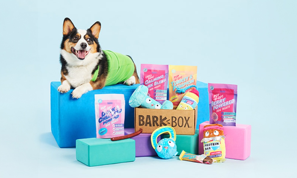 barkbox doge