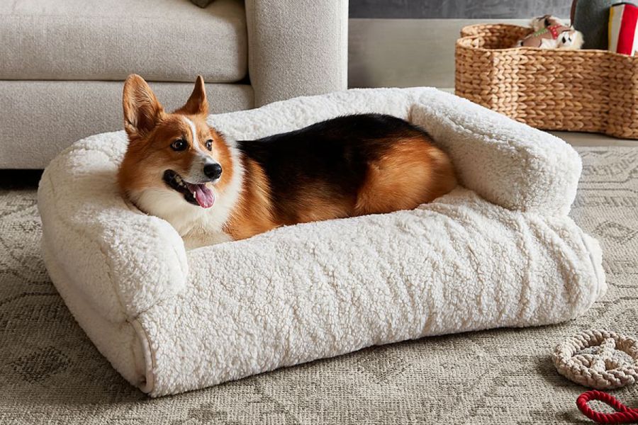 luxury pet bed