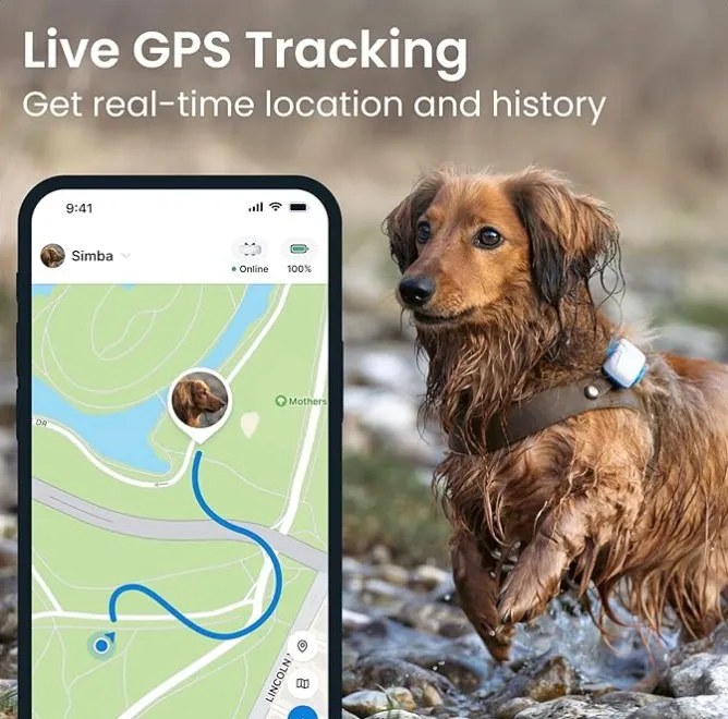 pet_GPS-tracker-1